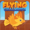 Flying Challenge 2 flying challenge 1