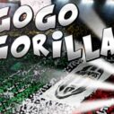 Go Go Gorilla 6 go go gorilla