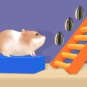 Hamster Stack Maze 6 hamster stack maze